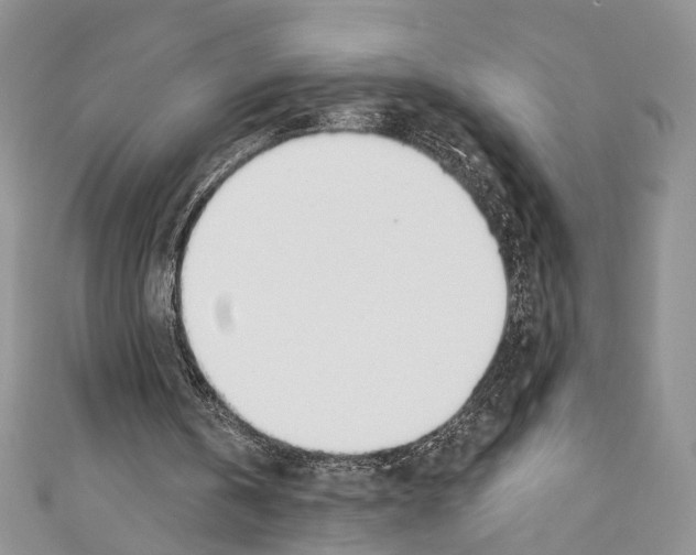 X0000110740146200907271109