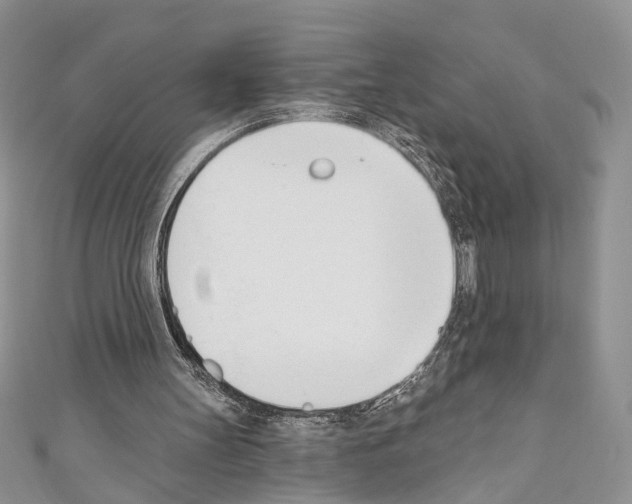 X0000110740147200907271109
