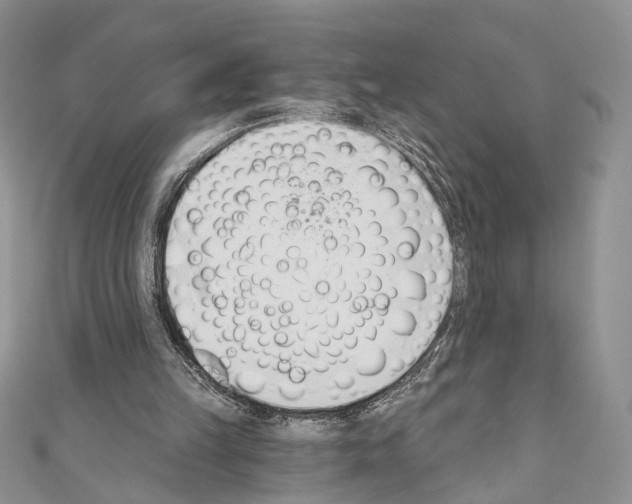 X0000110740149200907271109