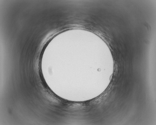 X0000110740151200907271109