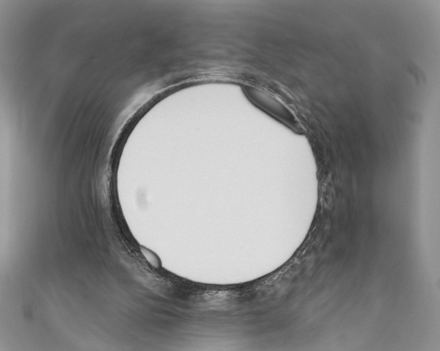 X0000110740152200907271109