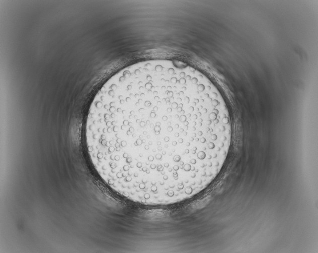 X0000110740153200907271109