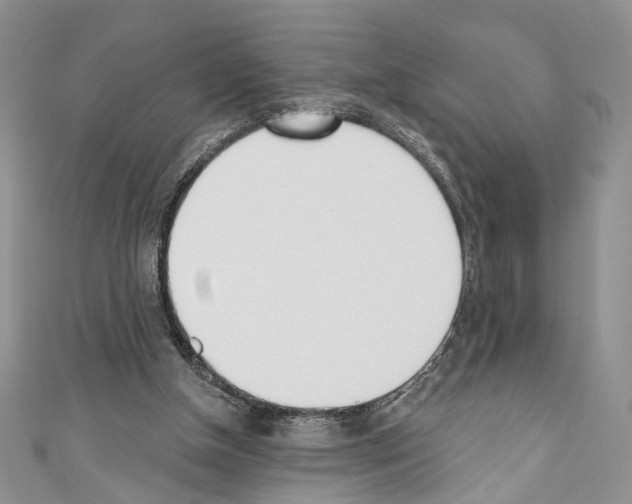 X0000110740154200907271109