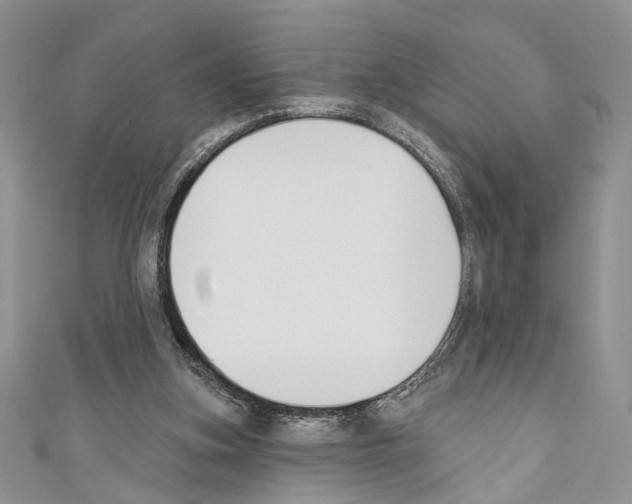 X0000110740155200907271109