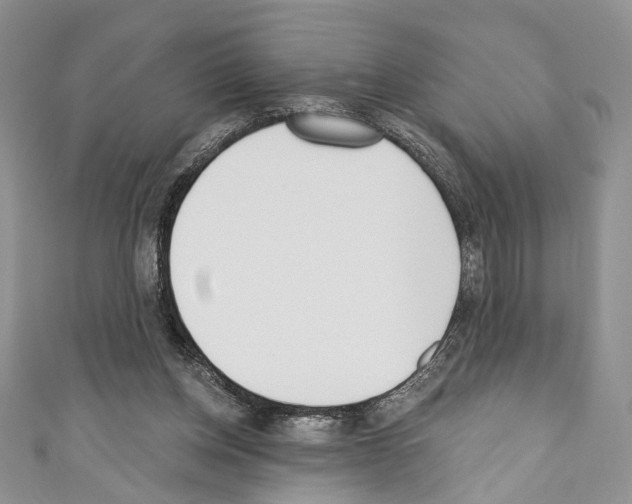 X0000110740158200907271109