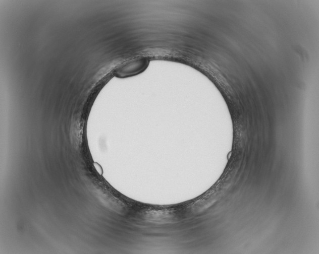 X0000110740160200907271109