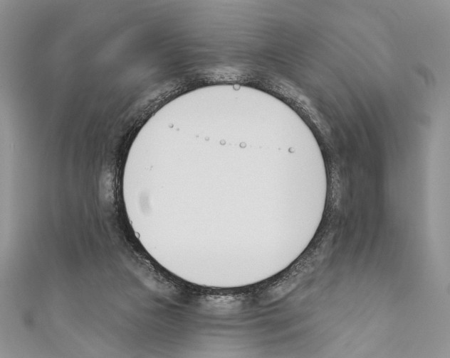X0000110740161200907271109