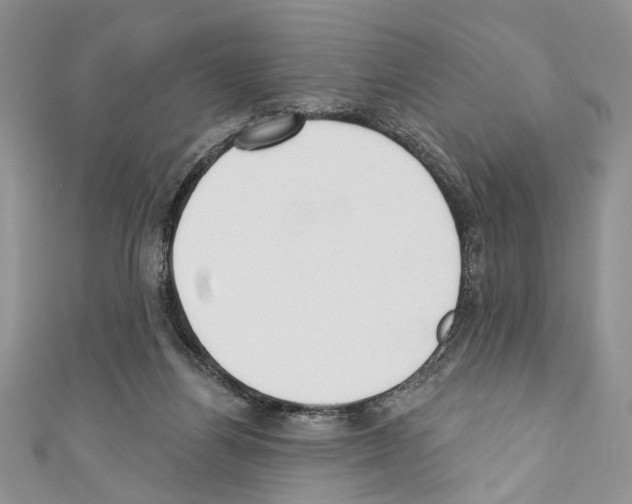 X0000110740164200907271109