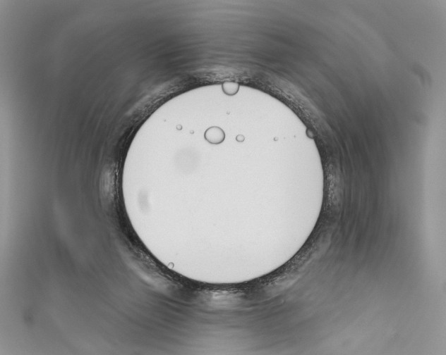 X0000110740165200907271109