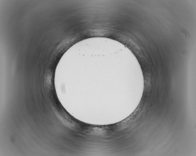 X0000110740166200907271109