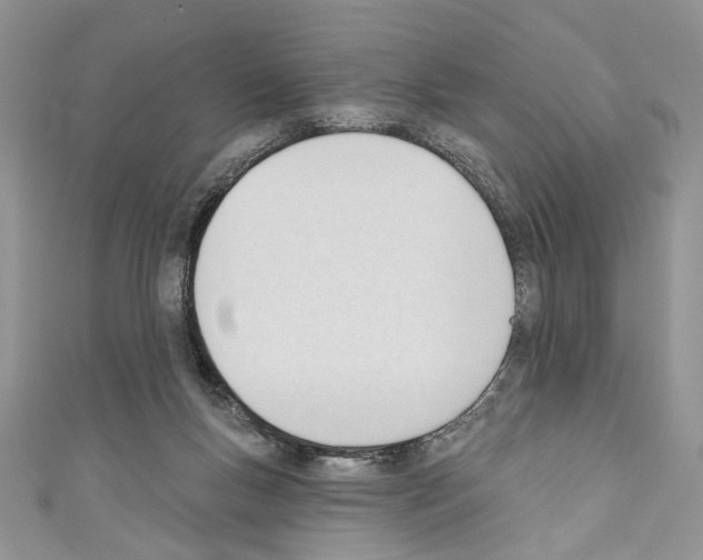 X0000110740167200907271109