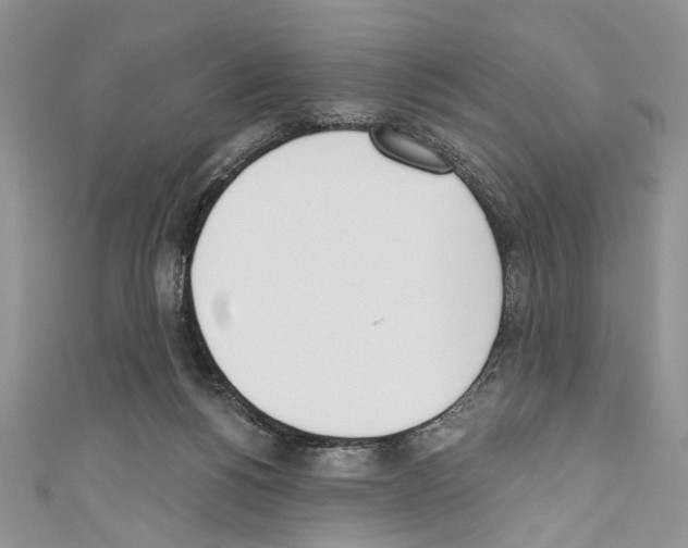 X0000110740168200907271109