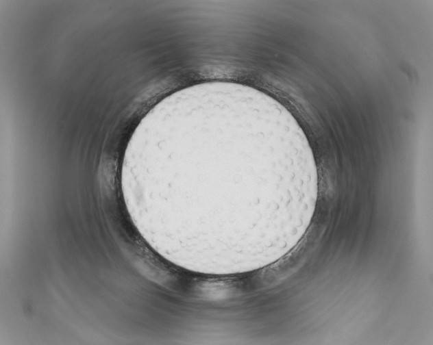 X0000110740171200907271109