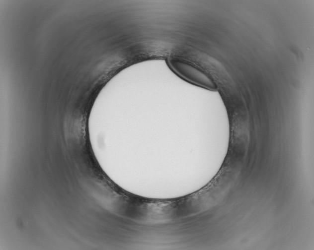 X0000110740172200907271109