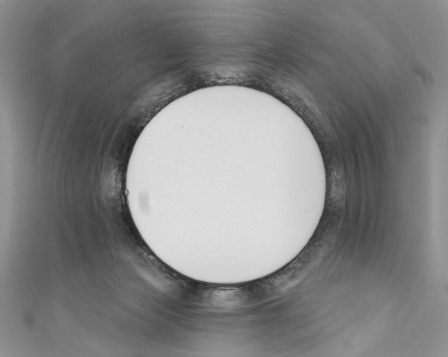 X0000110740173200907271109