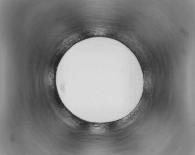 X0000110740175200907271109