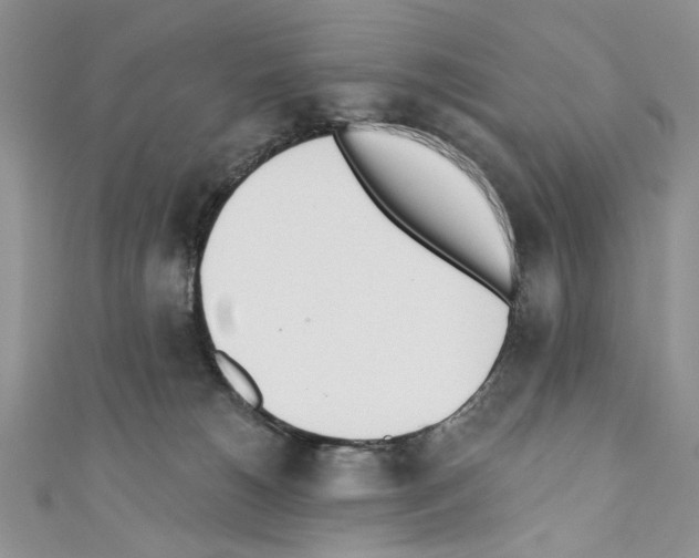 X0000110740180200907271109