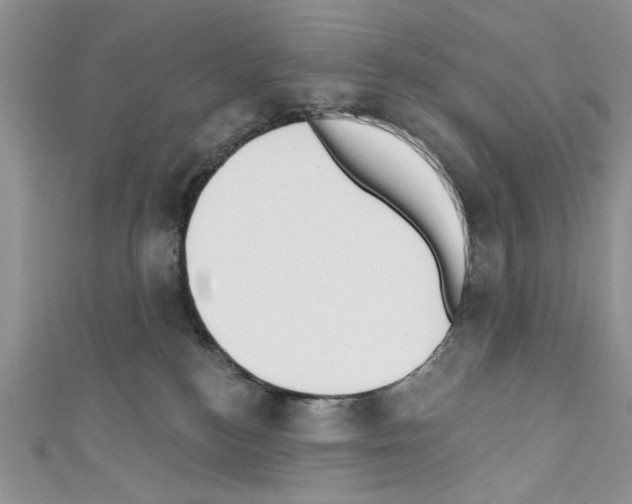X0000110740184200907271109