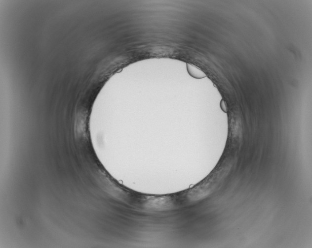 X0000110740185200907271109