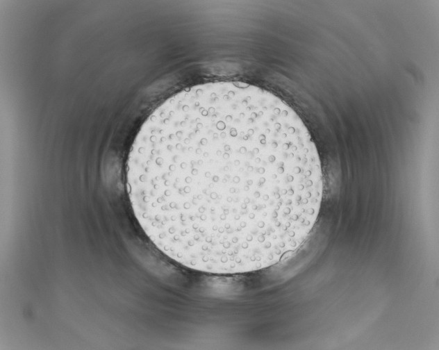 X0000110740187200907271109
