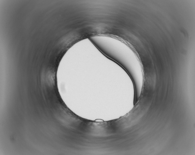 X0000110740188200907271109