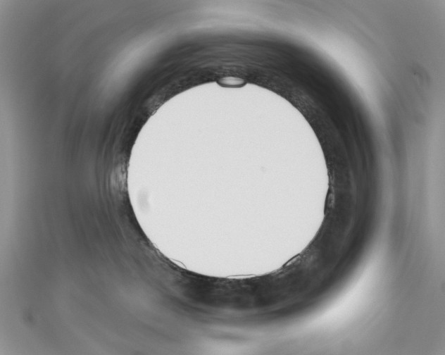 X0000110740190200907271109