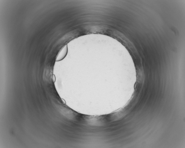 X0000110740191200907271109