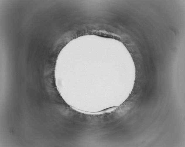 X0000110740192200907271109