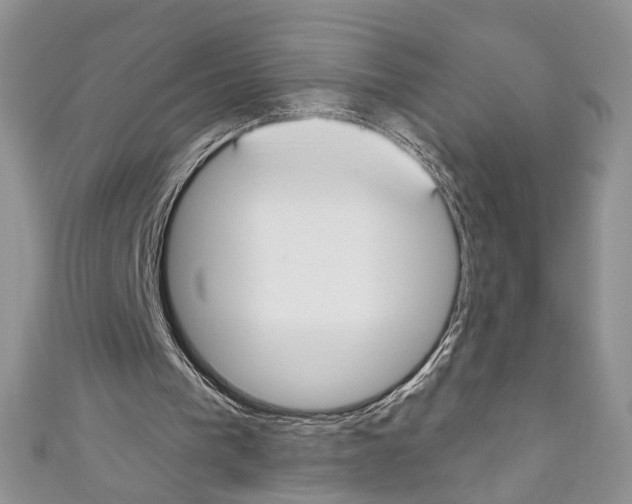 X0000110740193200907271109