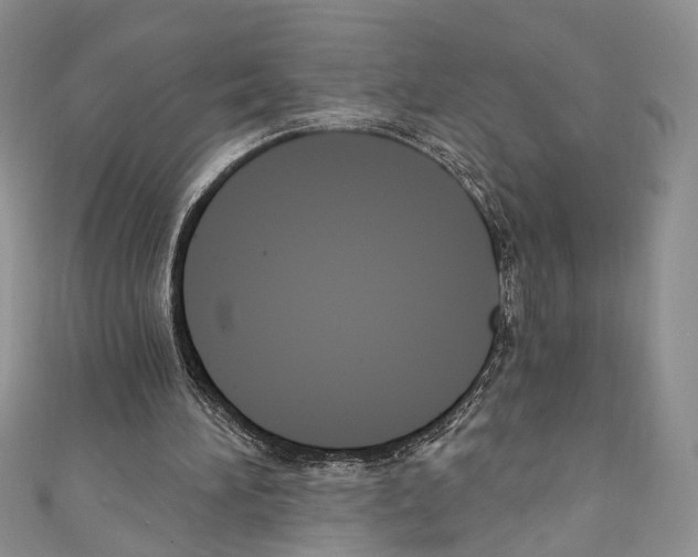 X0000110740196200907271109
