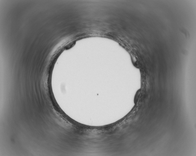 X0000110740197200907271109