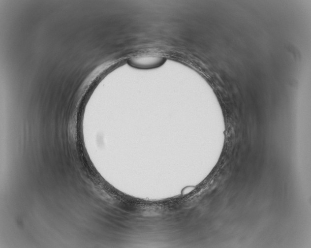 X0000110740200200907271109