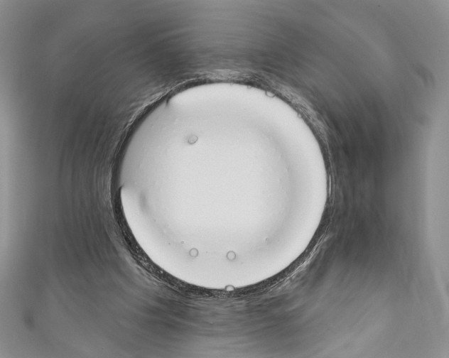 X0000110740201200907271109