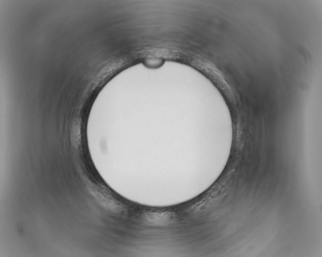 X0000110740202200907271109