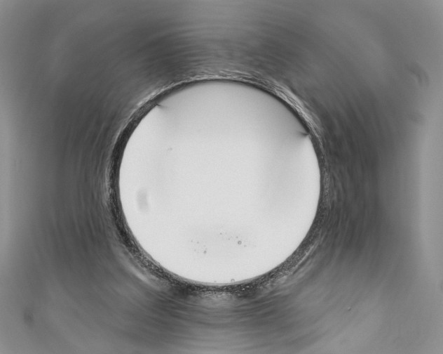 X0000110740203200907271109