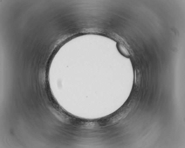 X0000110740204200907271109