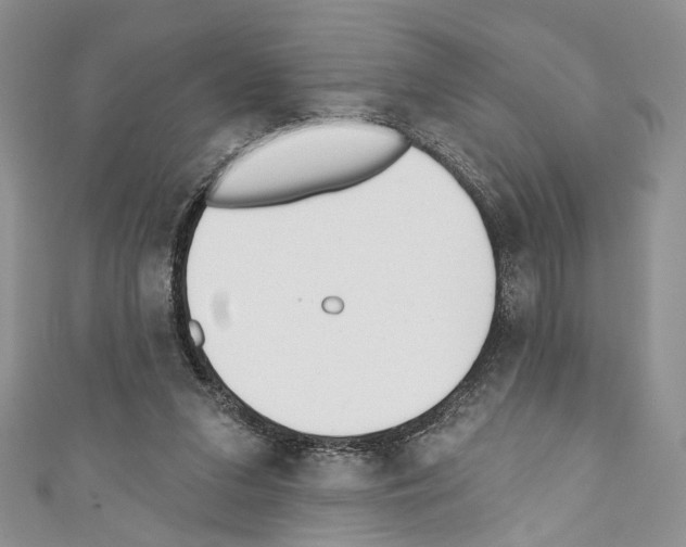 X0000110740207200907271108