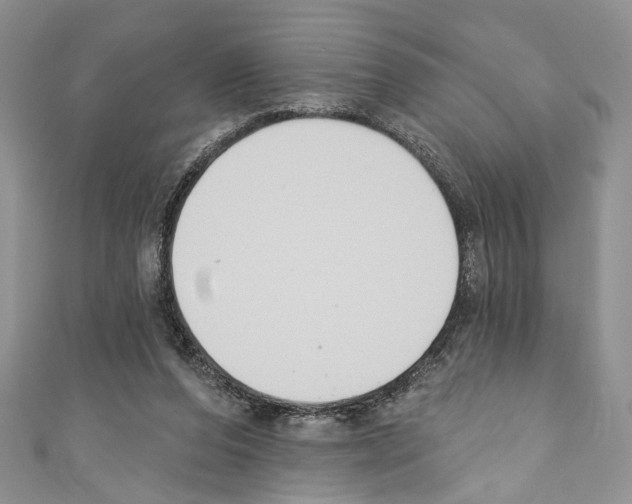 X0000110740208200907271108