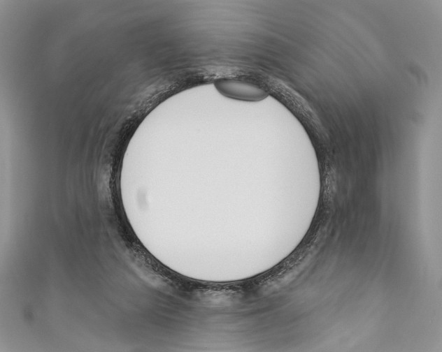 X0000110740209200907271108