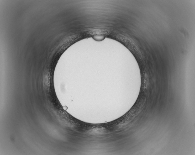 X0000110740210200907271108