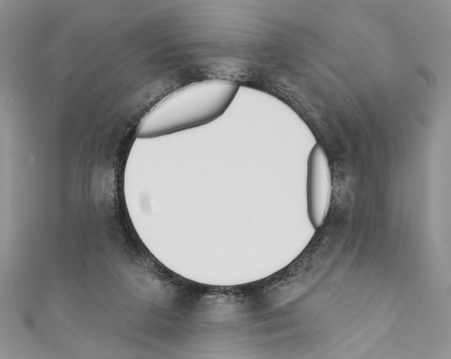 X0000110740211200907271108