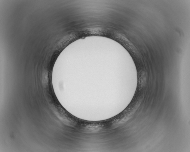X0000110740213200907271108
