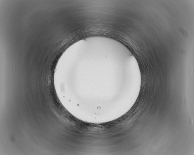 X0000110740215200907271108