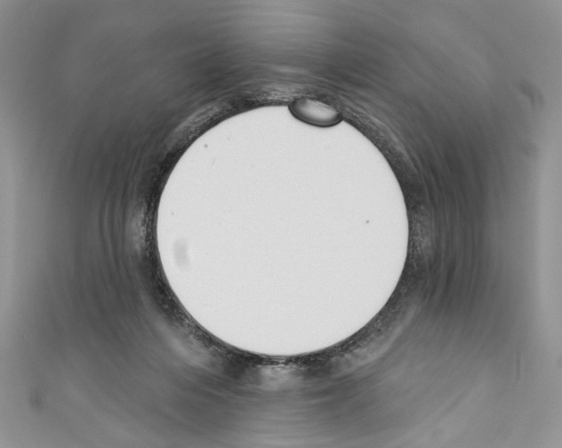 X0000110740216200907271108