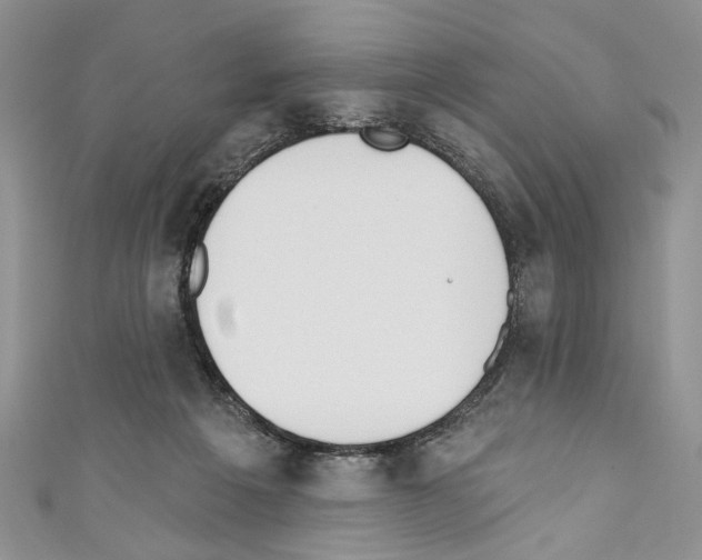 X0000110740217200907271108