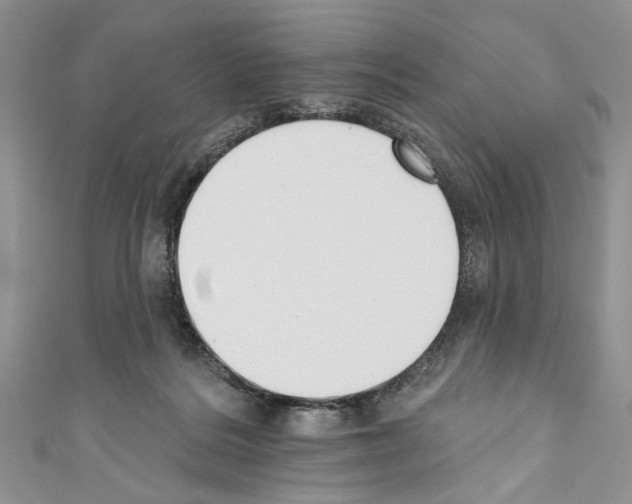 X0000110740220200907271108