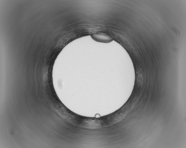 X0000110740221200907271108