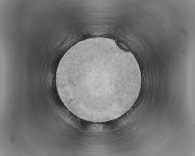 X0000110740227200907271108