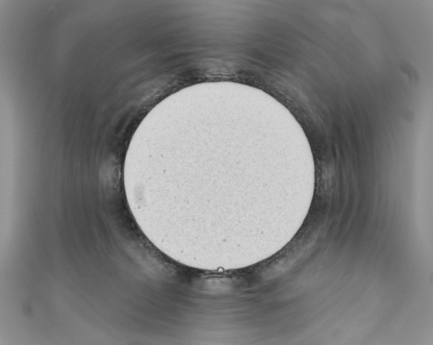 X0000110740228200907271108