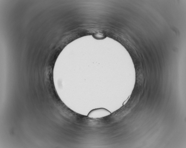 X0000110740229200907271108